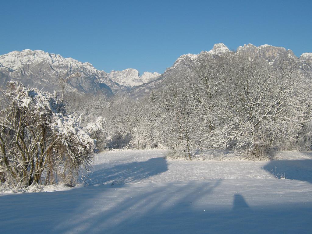 B&B Col Del Vin Беллуно Экстерьер фото
