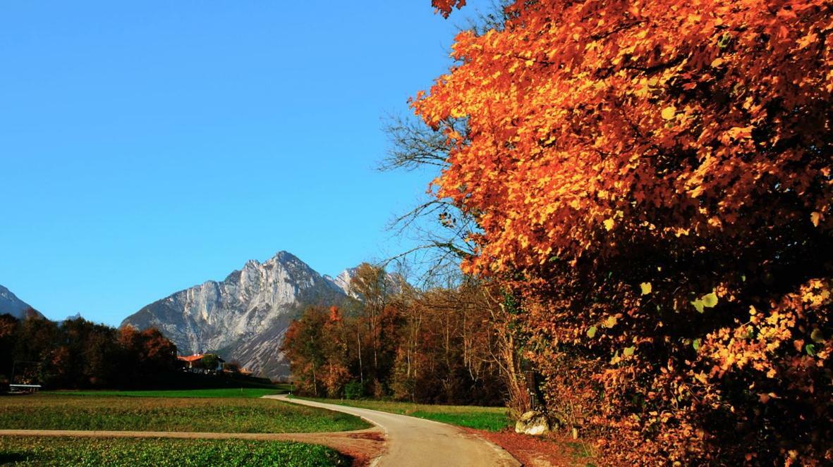 B&B Col Del Vin Беллуно Экстерьер фото