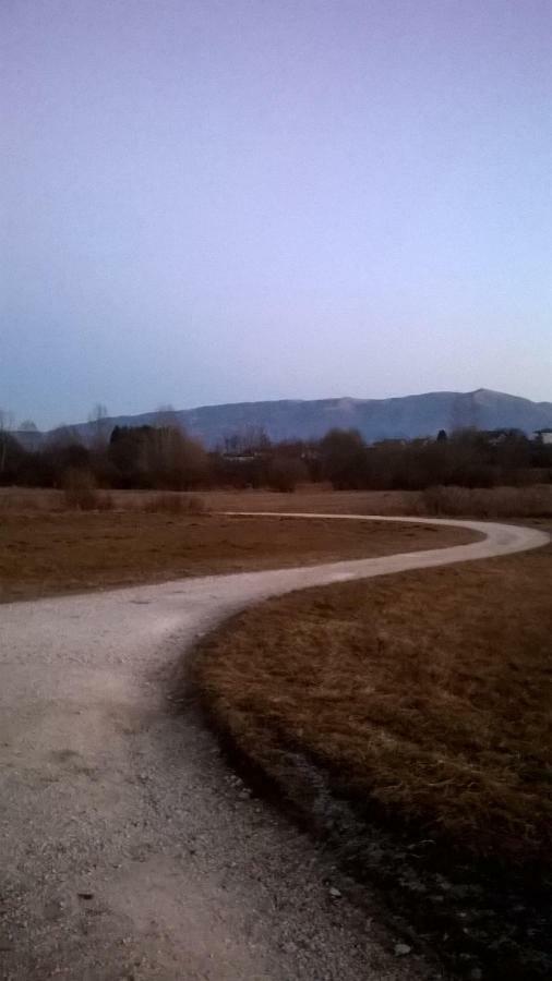 B&B Col Del Vin Беллуно Экстерьер фото
